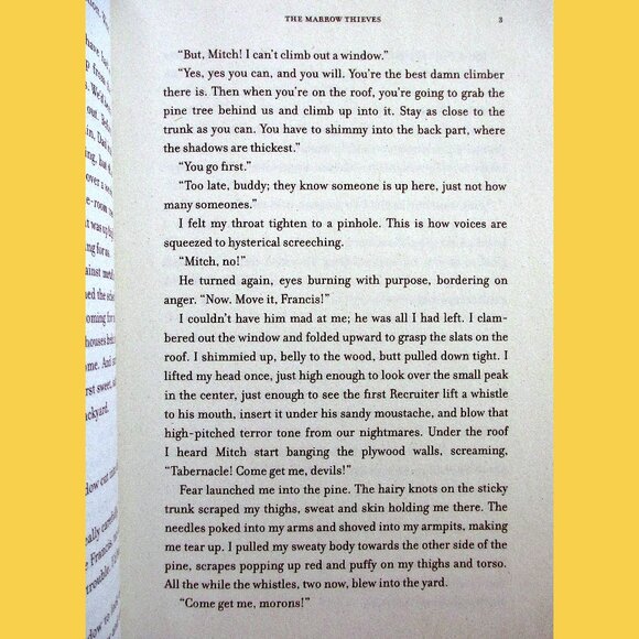 Book: The Marrow Thieves, by Cherie Dimaline (YA Fiction) - Picture 4 of 11